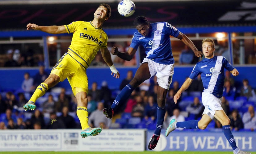 Eric Lichaj image