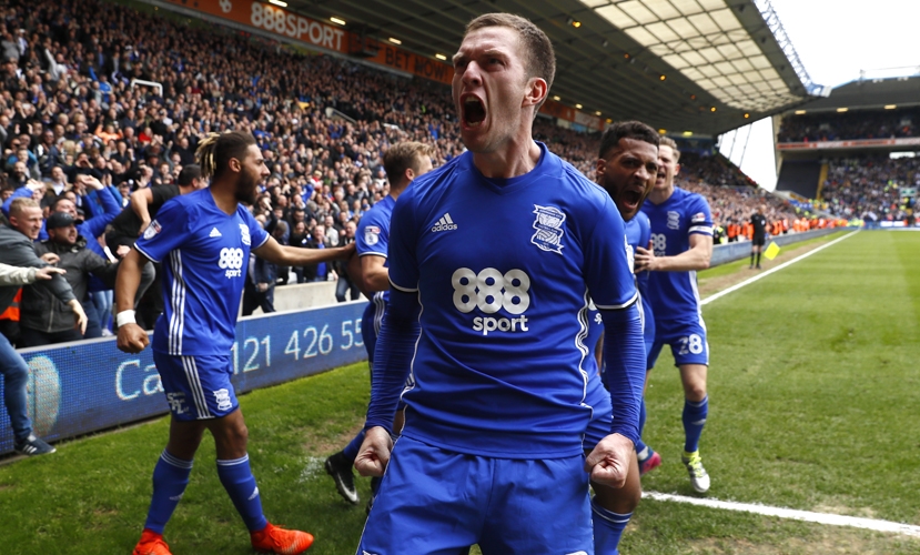 Craig Gardner - Birmingham City image