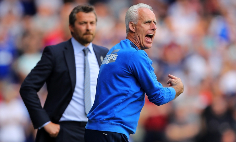 Slavisa Jokanovic and Mick McCarthy image