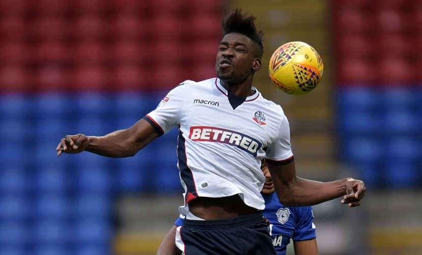 Sammy Ameobi image