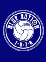 Blue Action Card Display at Reading Match